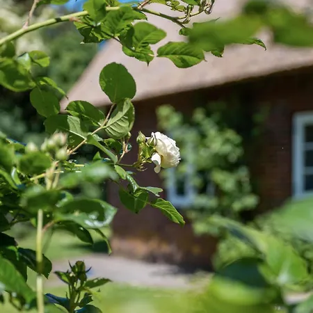 Apartamento Silke Dethlefsen