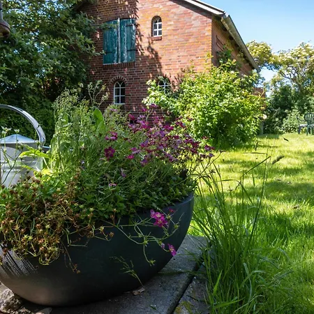 Silke Dethlefsen * Pellworm