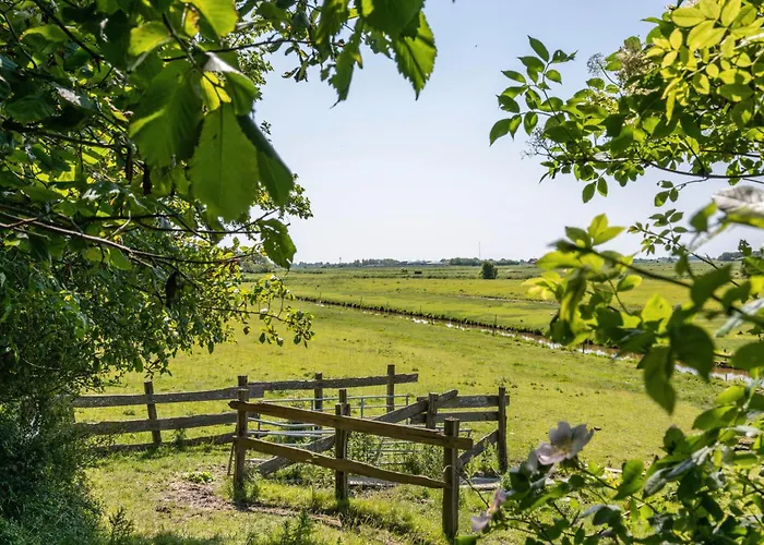 Silke Dethlefsen Pellworm