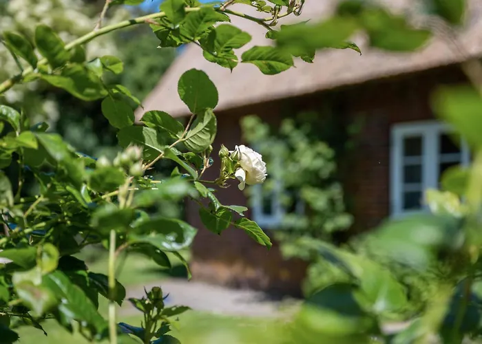 Apartamento Silke Dethlefsen