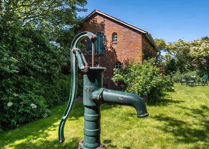 Silke Dethlefsen Pellworm