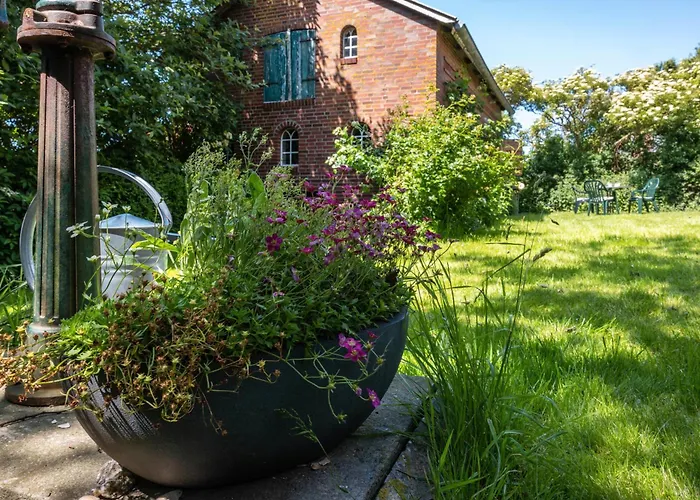 Silke Dethlefsen * 펠웜